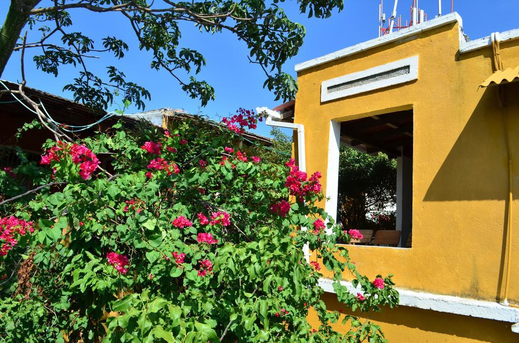 Jardin Etnobotanico Villa Ludovica Santa Marta  Kamer foto