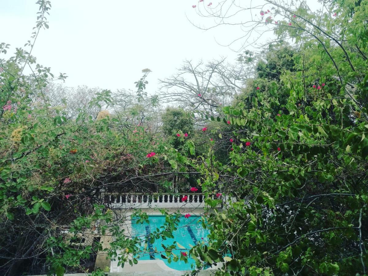 Jardin Etnobotanico Villa Ludovica Santa Marta  Buitenkant foto