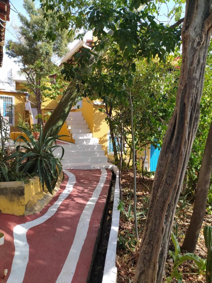 Jardin Etnobotanico Villa Ludovica Santa Marta  Buitenkant foto